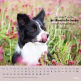 Für Hundefreunde 2025 - Wandkalender